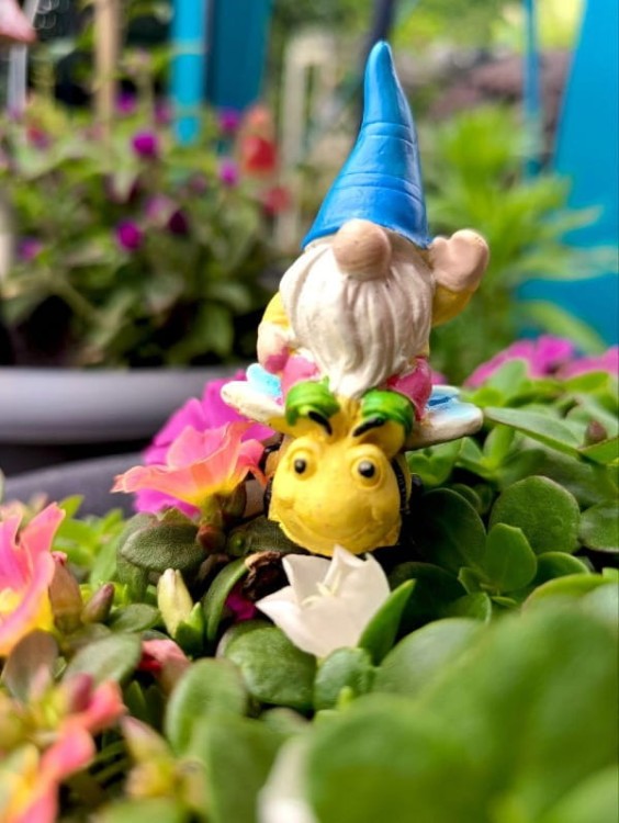 Skrzat na Piku - Ozdoba Doniczkowa - Skrzat na Pszczole