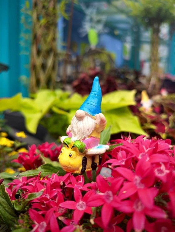 Skrzat na Piku - Ozdoba Doniczkowa - Skrzat na Pszczole