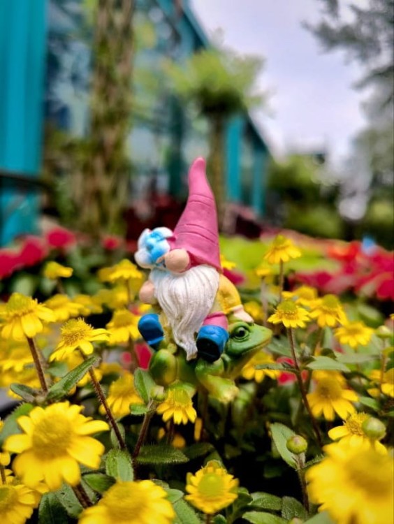 Skrzat na Piku - Ozdoba Doniczkowa - Skrzat na Żabce