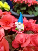 Skrzat na Piku - Ozdoba Doniczkowa - Skrzat na Muchomorku