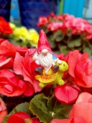 Skrzat na Piku - Ozdoba Doniczkowa - Skrzat na Żółwiku