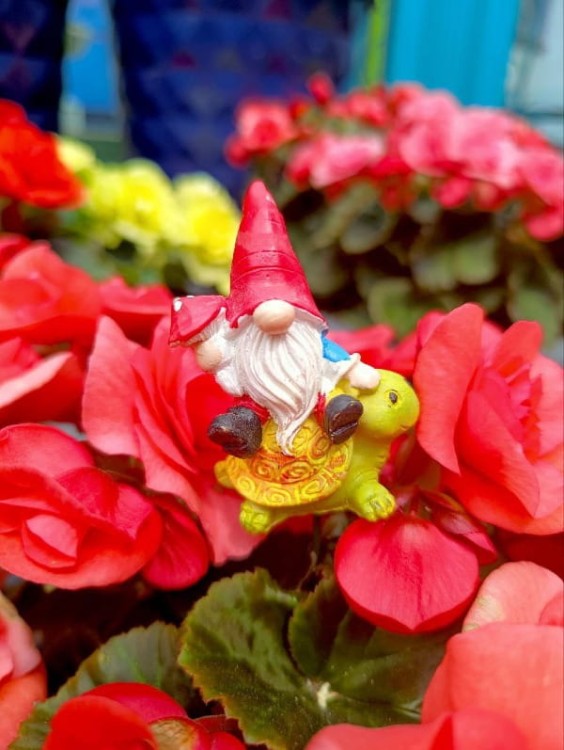 Skrzat na Piku - Ozdoba Doniczkowa - Skrzat na Żółwiku