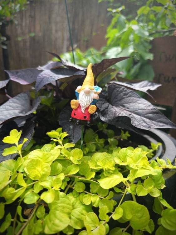 Skrzat na Piku - Ozdoba Doniczkowa - Skrzat na Biedronce