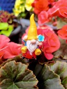 Skrzat na Piku - Ozdoba Doniczkowa - Skrzat na Biedronce