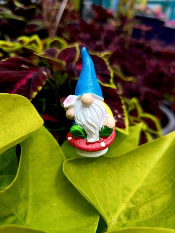 Skrzat na Piku - Ozdoba Doniczkowa - Skrzat na Muchomorku