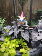 Skrzat na Piku - Ozdoba Doniczkowa - Skrzat na Ślimaku