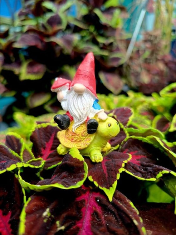 Skrzat na Piku - Ozdoba Doniczkowa - Skrzat na Żółwiku