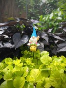 Skrzat na Piku - Ozdoba Doniczkowa - Skrzat na Pszczole