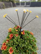 Ozdoba Solarna na Piku - Pszczółki 1012053