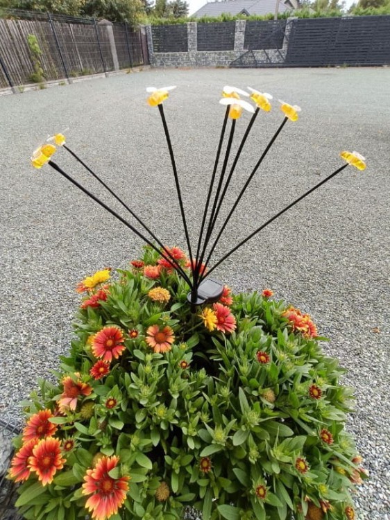 Ozdoba Solarna na Piku - Pszczółki 1012053