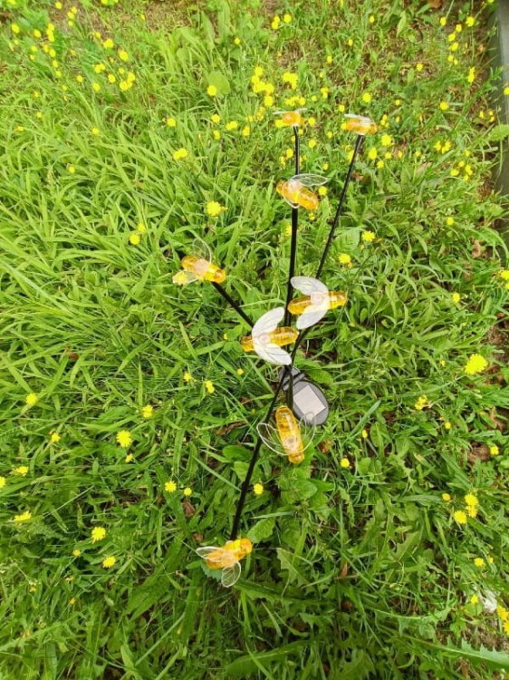 Ozdoba Solarna na Piku - Pszczółki 1012053