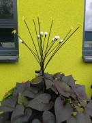 Ozdoba Solarna na Piku - Pszczółki 1012053