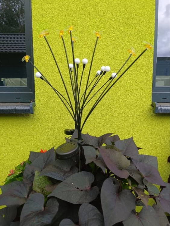 Ozdoba Solarna na Piku - Pszczółki 1012053