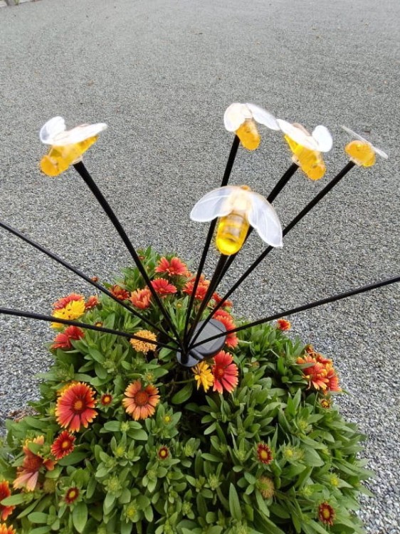 Ozdoba Solarna na Piku - Pszczółki 1012053