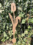 Tulipan metalowy z cebulką