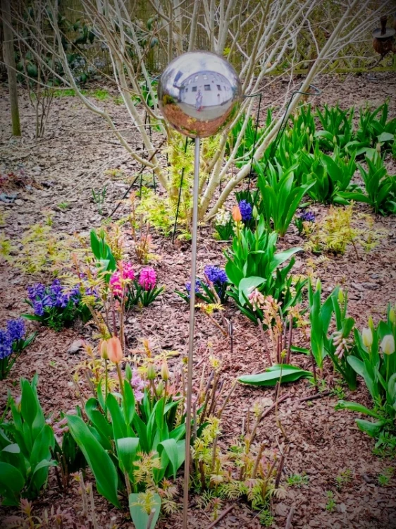 Kula na piku nierdzewna