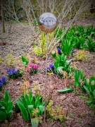 Kula na piku nierdzewna